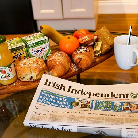 Penthouse Overlooking Castle Apartment Birr
